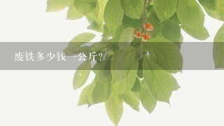 废铁多少钱1公斤? 废铁多少钱1公斤?