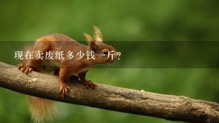 现在卖废纸多少钱1斤? 现在卖废纸多少钱1斤?