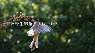 泉州野生鲫鱼多少钱1斤? 泉州野生鲫鱼多少钱1斤?