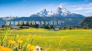翅果油的果子收购多少钱公斤? 翅果油的果子收购多少钱公斤?