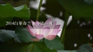 2014白芽奇兰多少钱1斤 2014白芽奇兰多少钱1斤