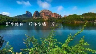 野生鲫鱼1斤多少钱1斤? 野生鲫鱼1斤多少钱1斤?
