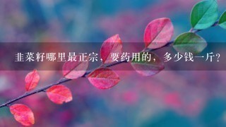 韭菜籽哪里最正宗,要药用的,多少钱1斤? 韭菜籽哪里最正宗,要药用的,多少钱1斤?