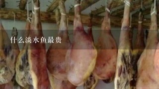 什么淡水鱼最贵 什么淡水鱼最贵