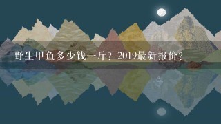 野生甲鱼多少钱1斤?2019最新报价? 野生甲鱼多少钱1斤?2019最新报价?
