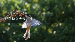 野葛粉多少钱1斤