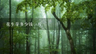 花生芽多少钱1斤 花生芽多少钱1斤