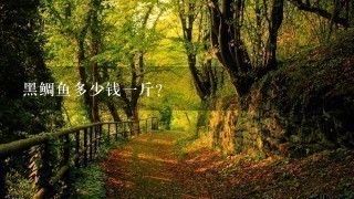 黑鲷鱼多少钱1斤? 黑鲷鱼多少钱1斤?