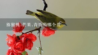 猕猴桃,芒果,青葡萄哪个贵 猕猴桃,芒果,青葡萄哪个贵