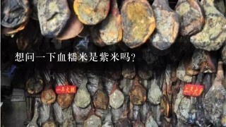 想问1下血糯米是紫米吗? 想问1下血糯米是紫米吗?