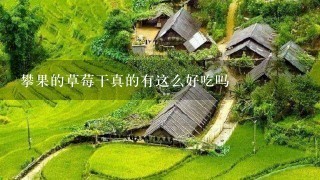 攀果的草莓干真的有这么好吃吗 攀果的草莓干真的有这么好吃吗