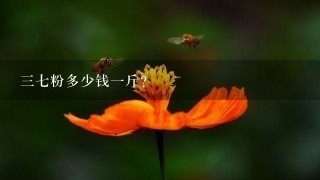 37粉多少钱1斤? 37粉多少钱1斤?