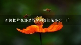新鲜松茸在那里能拿到价钱是多少1斤 新鲜松茸在那里能拿到价钱是多少1斤