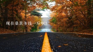 现在桑葚多钱1斤啊? 现在桑葚多钱1斤啊?