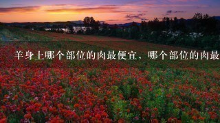 羊身上哪个部位的肉最便宜,哪个部位的肉最贵?都适 羊身上哪个部位的肉最便宜,哪个部位的肉最贵?都适