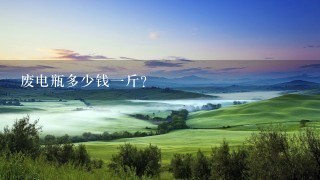 废电瓶多少钱1斤? 废电瓶多少钱1斤?