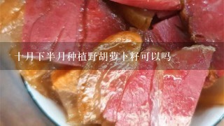 十月下半月种植野胡萝卜籽可以吗 十月下半月种植野胡萝卜籽可以吗