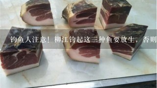 钓鱼人注意!柳江钓起这3种鱼要放生,否则要被请进去“喝茶” 钓鱼人注意!柳江钓起这3种鱼要放生,否则要被请进去“喝茶”