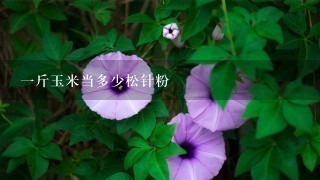 1斤玉米当多少松针粉 1斤玉米当多少松针粉