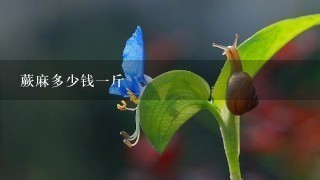蕨麻多少钱1斤 蕨麻多少钱1斤