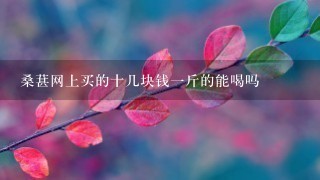 桑葚网上买的十几块钱1斤的能喝吗 桑葚网上买的十几块钱1斤的能喝吗