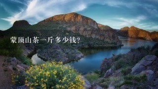 蒙顶山茶1斤多少钱? 蒙顶山茶1斤多少钱?