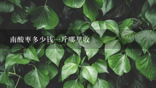 南酸枣多少钱1斤哪里收 南酸枣多少钱1斤哪里收