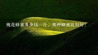槐花蜂蜜多少钱1斤,那种蜂蜜比较好! 槐花蜂蜜多少钱1斤,那种蜂蜜比较好!