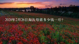 2020年2月26日淘汰母猪多少钱1斤? 2020年2月26日淘汰母猪多少钱1斤?
