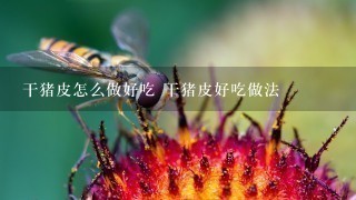干猪皮怎么做好吃 干猪皮好吃做法 干猪皮怎么做好吃 干猪皮好吃做法
