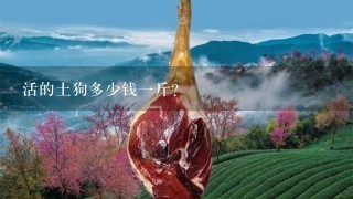活的土狗多少钱1斤? 活的土狗多少钱1斤?