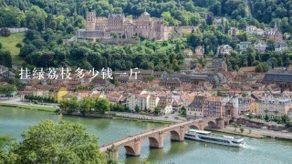 挂绿荔枝多少钱1斤 挂绿荔枝多少钱1斤