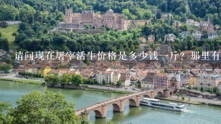 请问现在屠宰活牛价格是多少钱1斤?那里有人1次收购30多条 请问现在屠宰活牛价格是多少钱1斤?那里有人1次收购30多条