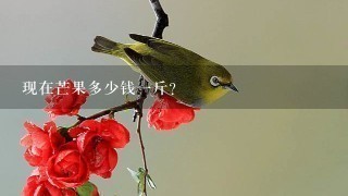 现在芒果多少钱1斤? 现在芒果多少钱1斤?
