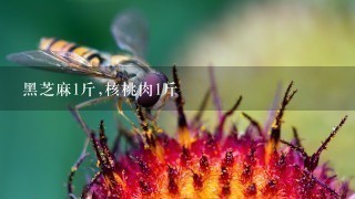 黑芝麻1斤,核桃肉1斤 黑芝麻1斤,核桃肉1斤