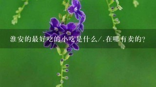 淮安的最好吃的小吃是什么/.在哪有卖的? 淮安的最好吃的小吃是什么/.在哪有卖的?