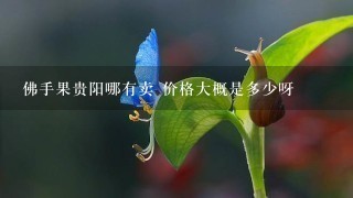 佛手果贵阳哪有卖 价格大概是多少呀 佛手果贵阳哪有卖 价格大概是多少呀