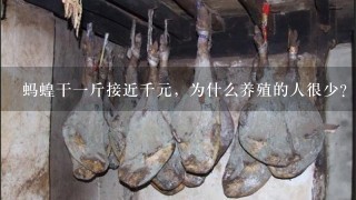 蚂蝗干1斤接近千元,为什么养殖的人很少? 蚂蝗干1斤接近千元,为什么养殖的人很少?