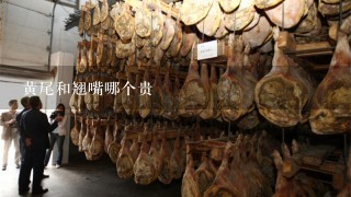 黄尾和翘嘴哪个贵 黄尾和翘嘴哪个贵