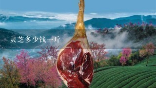 灵芝多少钱1斤 灵芝多少钱1斤