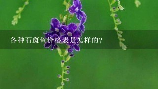 各种石斑鱼价格表是怎样的? 各种石斑鱼价格表是怎样的?