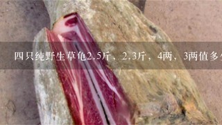 4只纯野生草龟2.5斤,2.3斤,4两,3两值多少钱?谢 4只纯野生草龟2.5斤,2.3斤,4两,3两值多少钱?谢