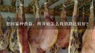 想回家种香菇,刚开始怎么找销路比较好? 想回家种香菇,刚开始怎么找销路比较好?