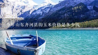 今年山东齐河县的玉米价格是多少钱 今年山东齐河县的玉米价格是多少钱