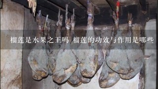 榴莲是水果之王吗 榴莲的功效与作用是哪些 榴莲是水果之王吗 榴莲的功效与作用是哪些