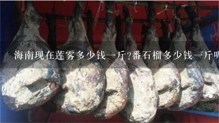 海南现在莲雾多少钱1斤?番石榴多少钱1斤呢?蛋黄果1般海南多少钱1斤? 海南现在莲雾多少钱1斤?番石榴多少钱1斤呢?蛋黄果1般海南多少钱1斤?