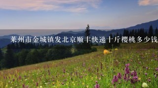 莱州市金城镇发北京顺丰快递十斤樱桃多少钱? 莱州市金城镇发北京顺丰快递十斤樱桃多少钱?