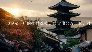 1049元1斤的挂绿荔枝,曾卖出55万1颗,挂绿荔枝凭 1049元1斤的挂绿荔枝,曾卖出55万1颗,挂绿荔枝凭
