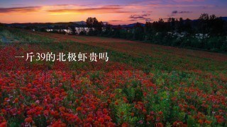 1斤39的北极虾贵吗 1斤39的北极虾贵吗