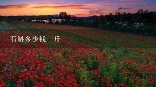 石斛多少钱1斤 石斛多少钱1斤